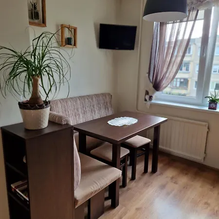 Apartment Siaure Kaunas